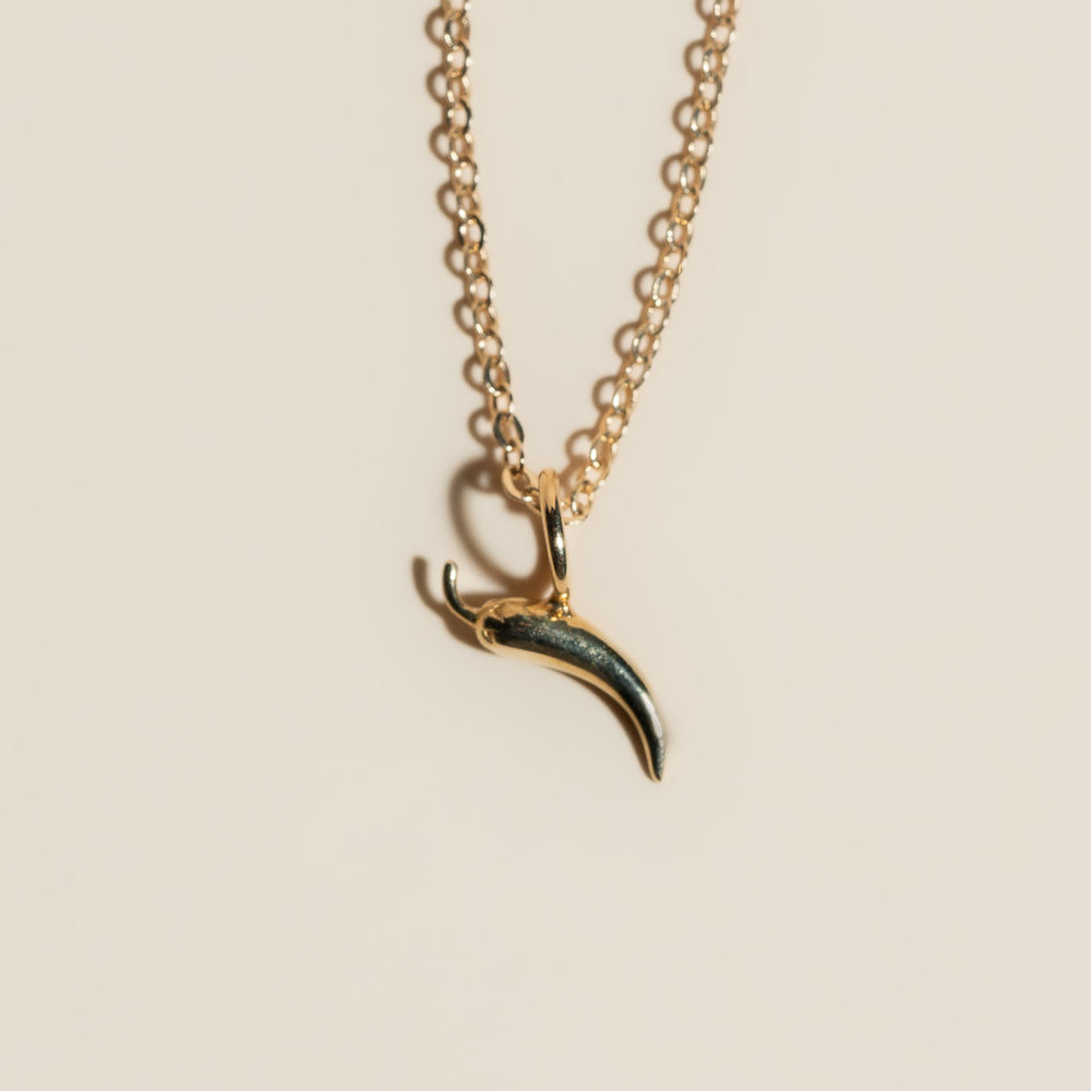 
                      
                        14K Mini Chile Necklace
                      
                    