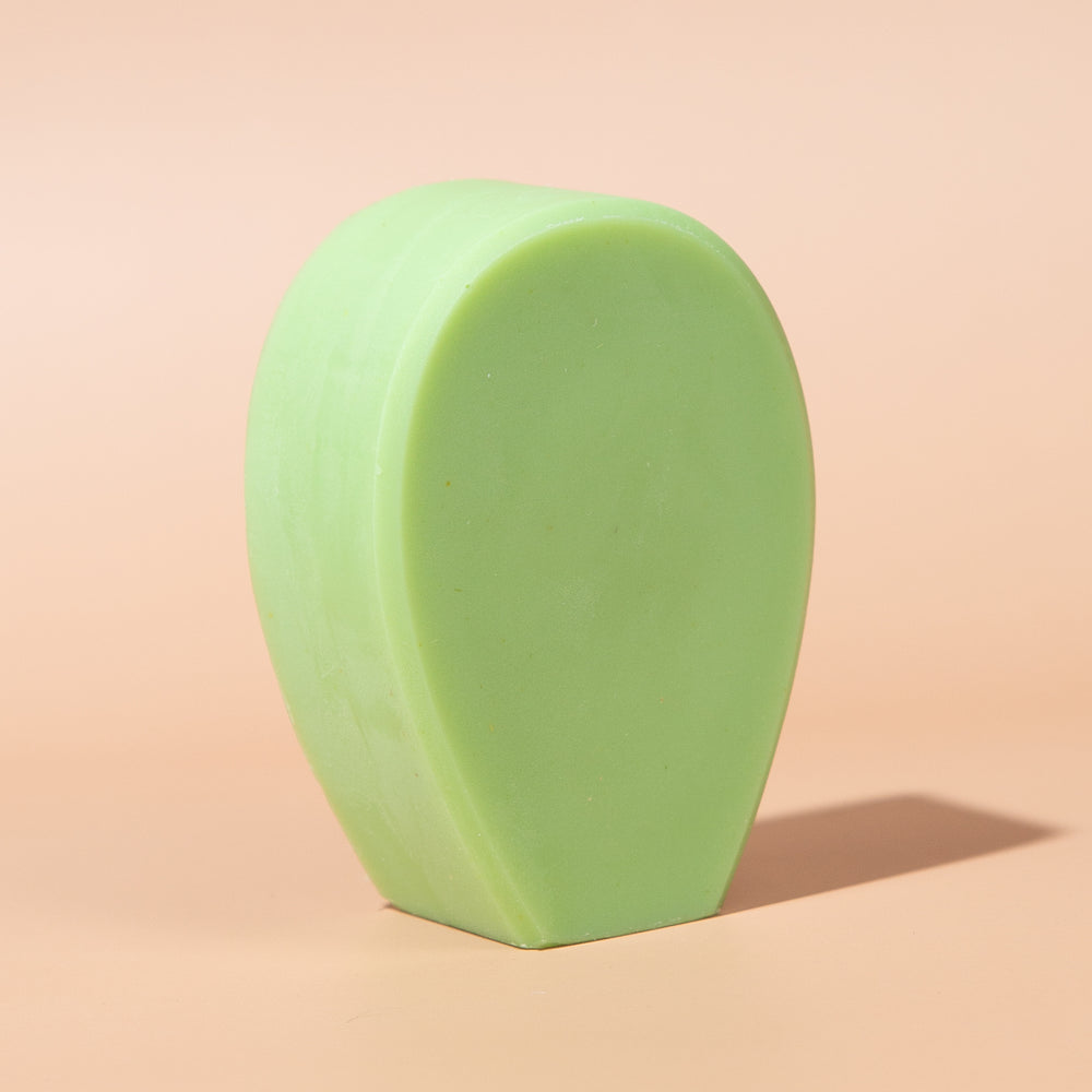 Planta Futura Cactus Soap