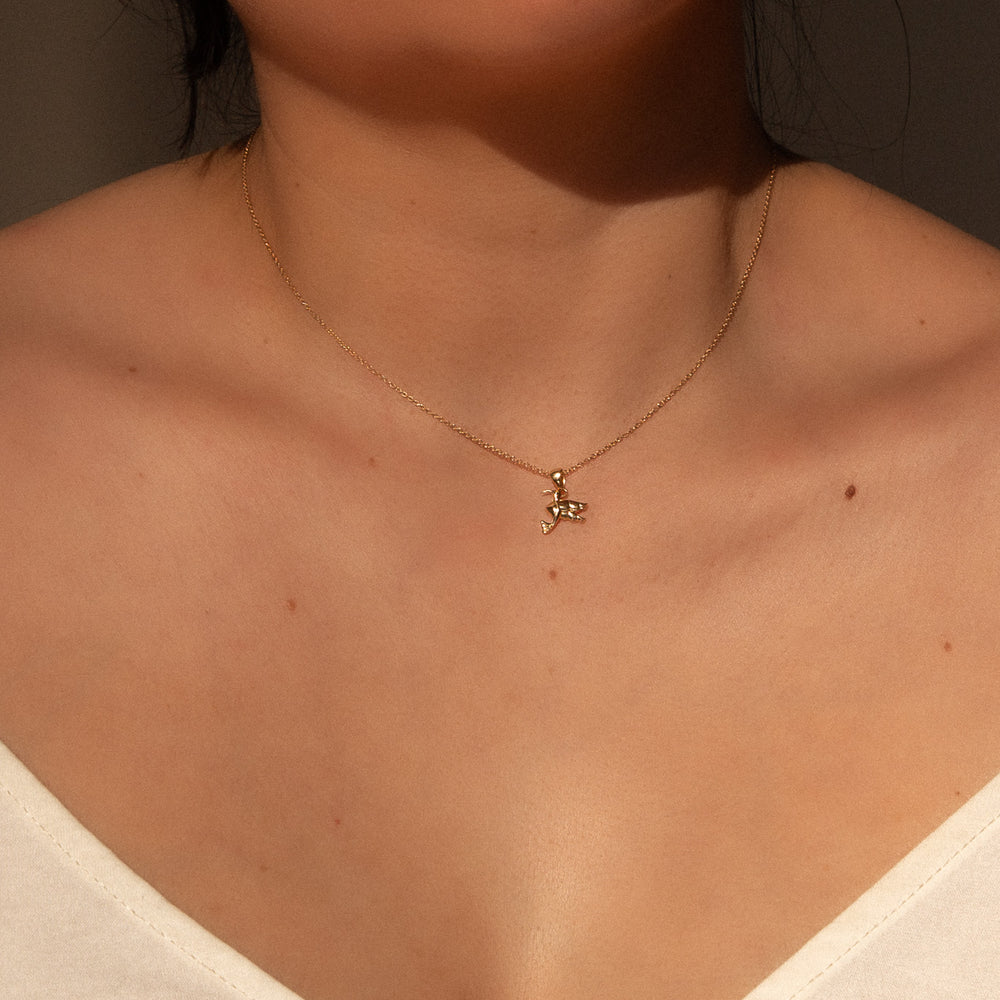 14K Colibrí Grande Necklace