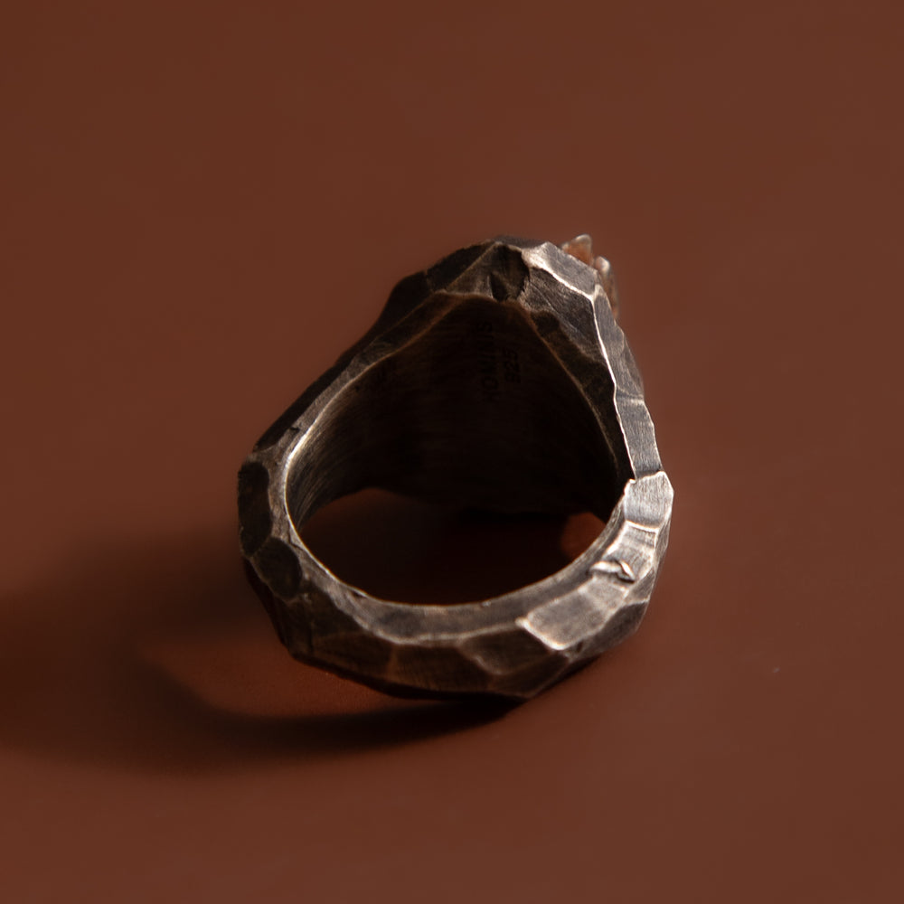 
                      
                        Meteorite Ring
                      
                    