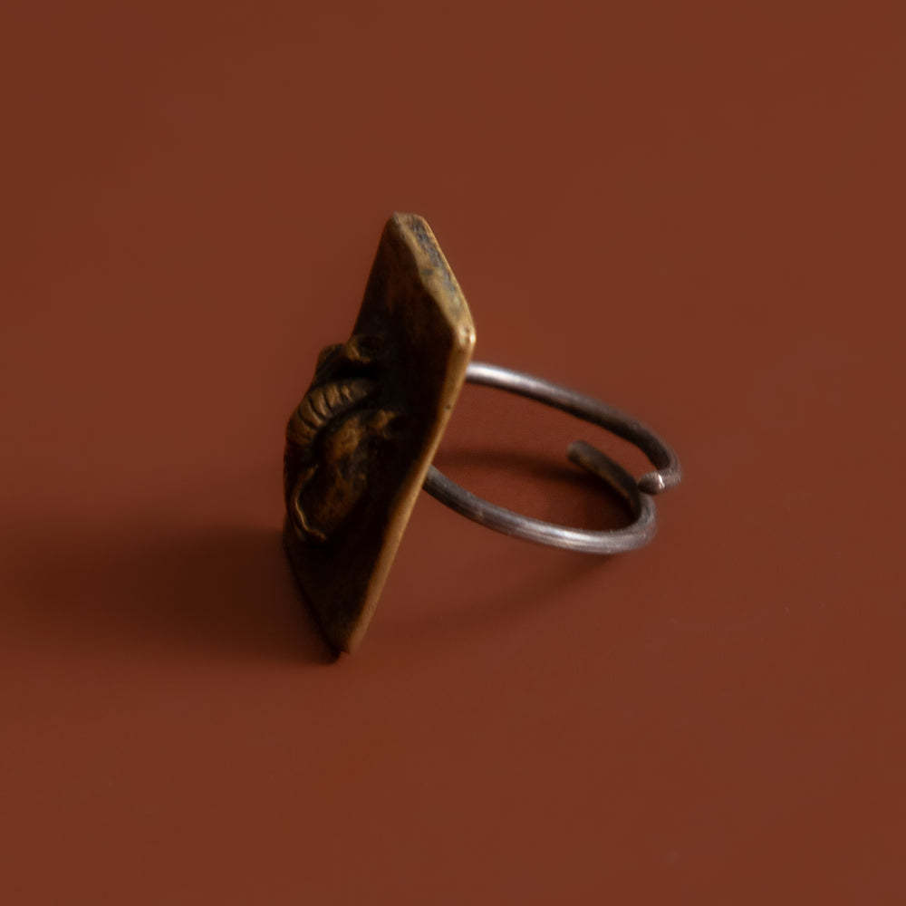 
                      
                        Corazón Anatómico Ring
                      
                    